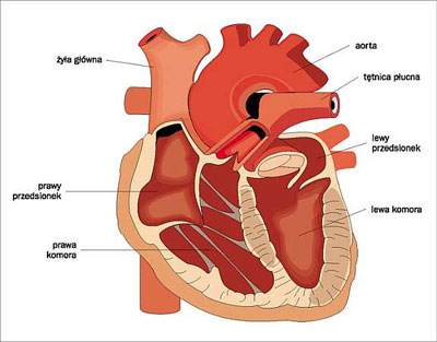 Zator tętnicy płucnej